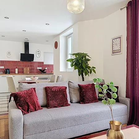 Le Baron Rouge - Parking Prive - 3 - Climatisation - Centre De Saint-etienne Daire *